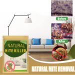 71IHG9aIH3L._AC_SL1500_