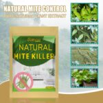 81v6btAmsVL._AC_SL1500_